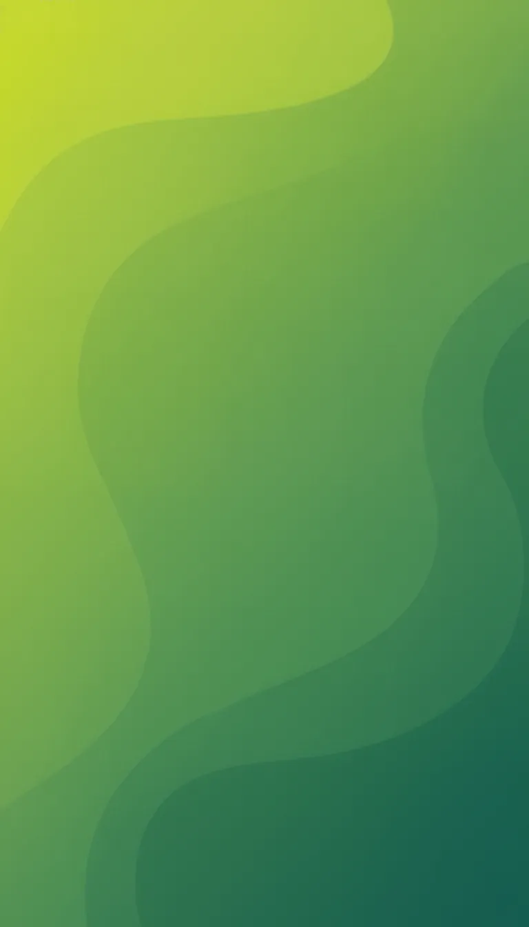 insoftline hero background