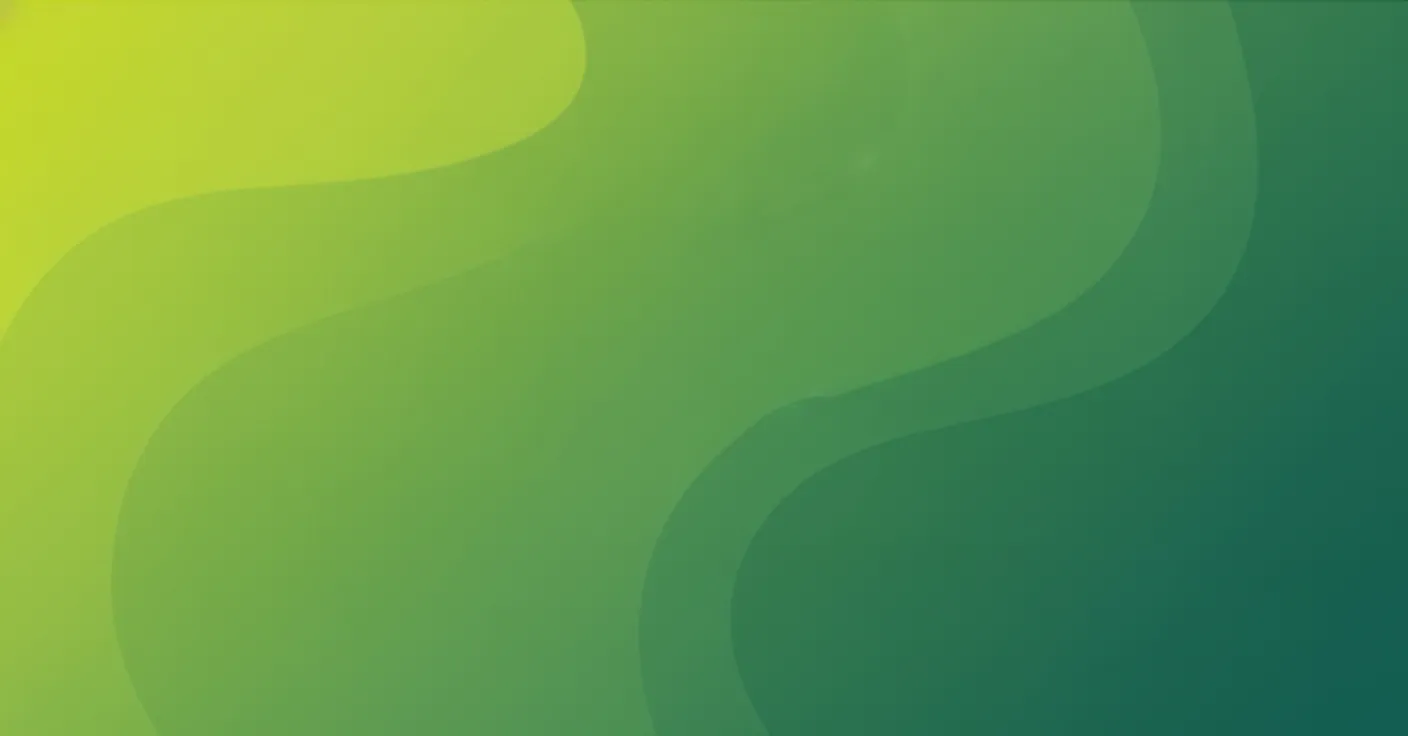 insoftline hero background 